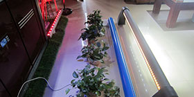 新型LED桥梁护栏灯技术特点原理